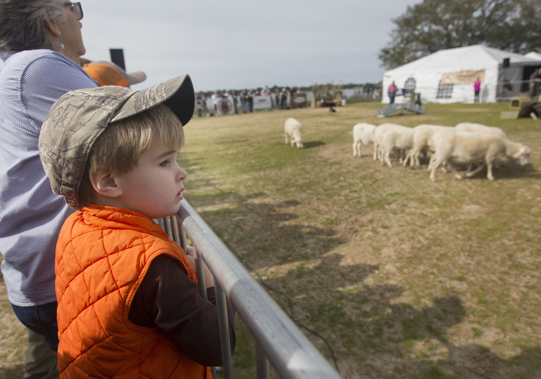 kids and sheep.jpg (copy) (copy)